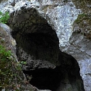 a0bdfd97442.webp