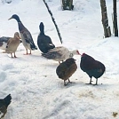 38b8a2ac845.webp
