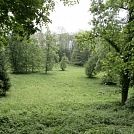 973f7af6365.webp