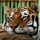 e8e14af3224.webp