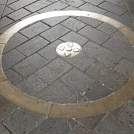 7f741791365.webp