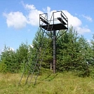a50275bb306.webp