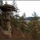6ac7c93548.webp