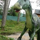 8f076ebb911.webp