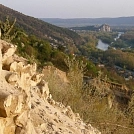 9df21773871.webp
