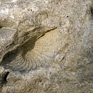 d64c740a115.webp