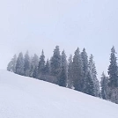 1667551763-1.webp
