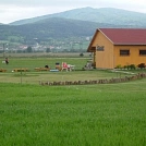 2c85773d516.webp