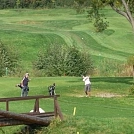 cbc0dde3267.webp