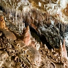 b48919f5159.webp