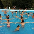 2b172250746.webp