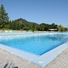 87940420494.webp