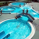 0bc6d636324.webp