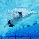 4ee1f5c2882.webp