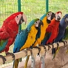 1628027167-IMG-20210722-WA0011.webp