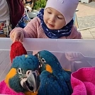 1628027286-IMG-20210725-WA0005.webp