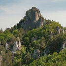 0c429b08883.webp