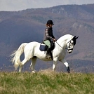 774cb281255.webp