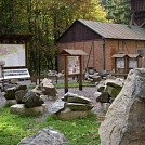 1ee08919845.webp