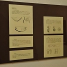 ee8999c8255.webp