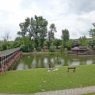 c0fca941603.webp