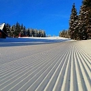 47ee1df0453.webp