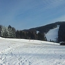794681c8455.webp