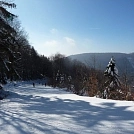 031cf131741.webp