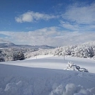 50887c7f299.webp