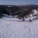 caa2c7fc314.webp