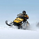 d3ce8af8834.webp