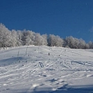 3ca43920733.webp