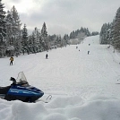 41ea8a26431.webp